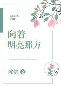 向着明亮那方简介概括