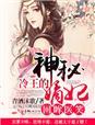 冷王的神秘嫡妃免费读